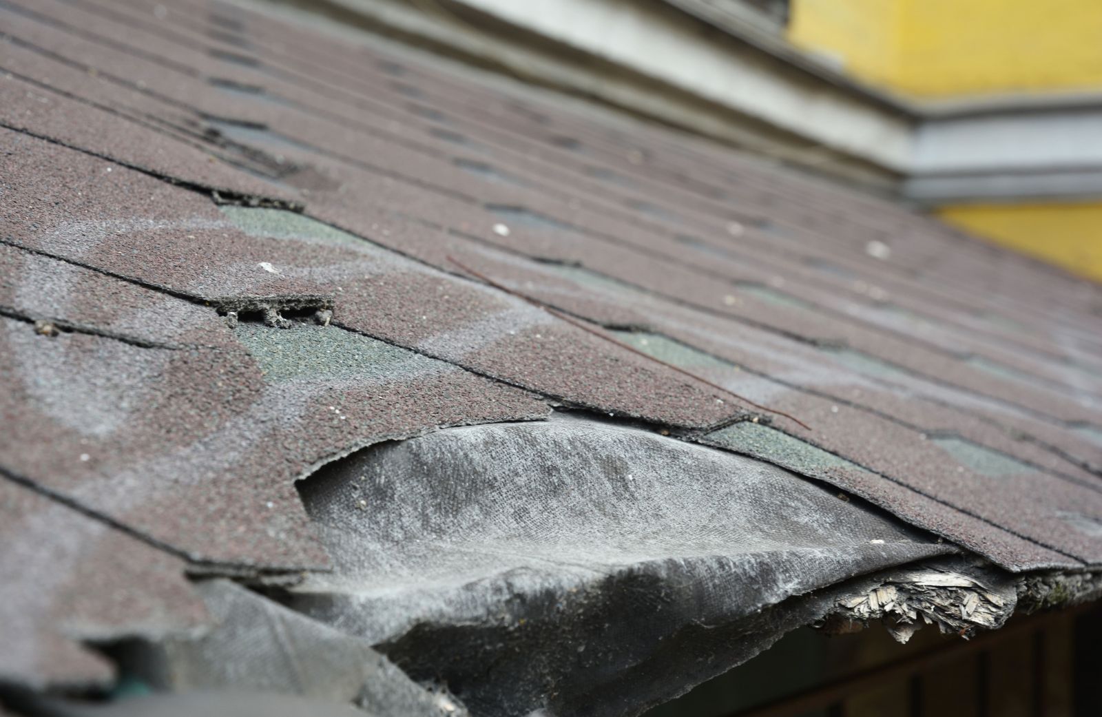 Scenic View Roofing Images